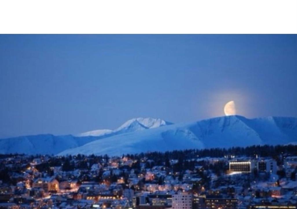 Polar Cozy Apartment - With View And Free Parking トロムソ エクステリア 写真